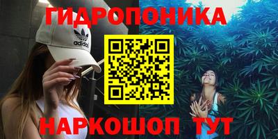 спиды Аргун