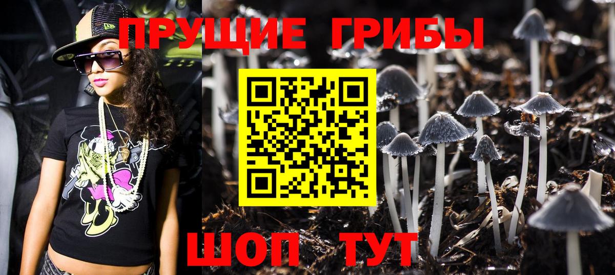 Галлюциногенные грибы GOLDEN TEACHER  Псилоцибиновые грибы MAGIC MUSHROOMS  Соликамск 