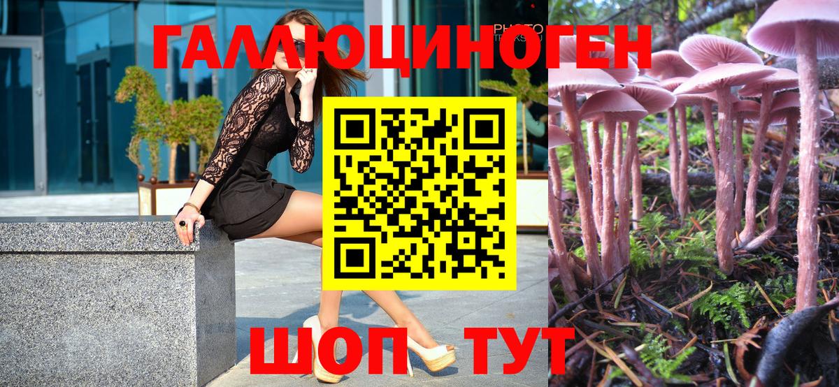 Соликамск  Галлюциногенные грибы MAGIC MUSHROOMS  Псилоцибиновые грибы GOLDEN TEACHER  Вход с VPN 